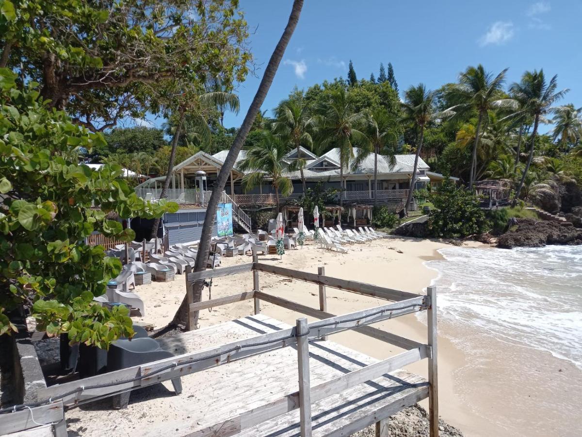 Grand Studio De 41 M², Vue Mer Et Jardin Tropical. Le Gosier  Eksteriør billede