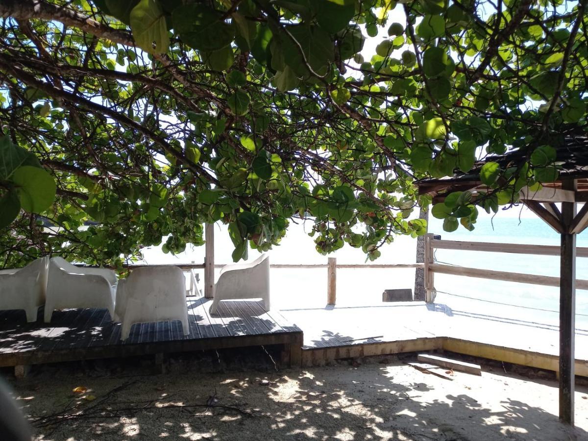Grand Studio De 41 M², Vue Mer Et Jardin Tropical. Le Gosier  Eksteriør billede