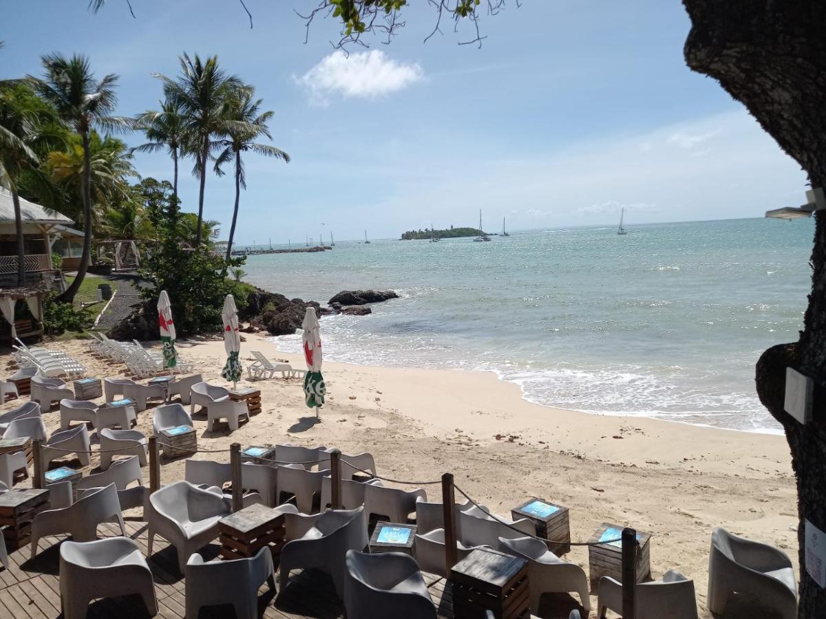 Grand Studio De 41 M², Vue Mer Et Jardin Tropical. Le Gosier  Eksteriør billede