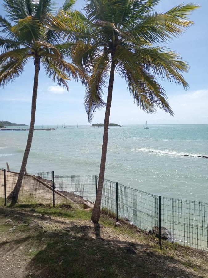 Grand Studio De 41 M², Vue Mer Et Jardin Tropical. Le Gosier  Eksteriør billede