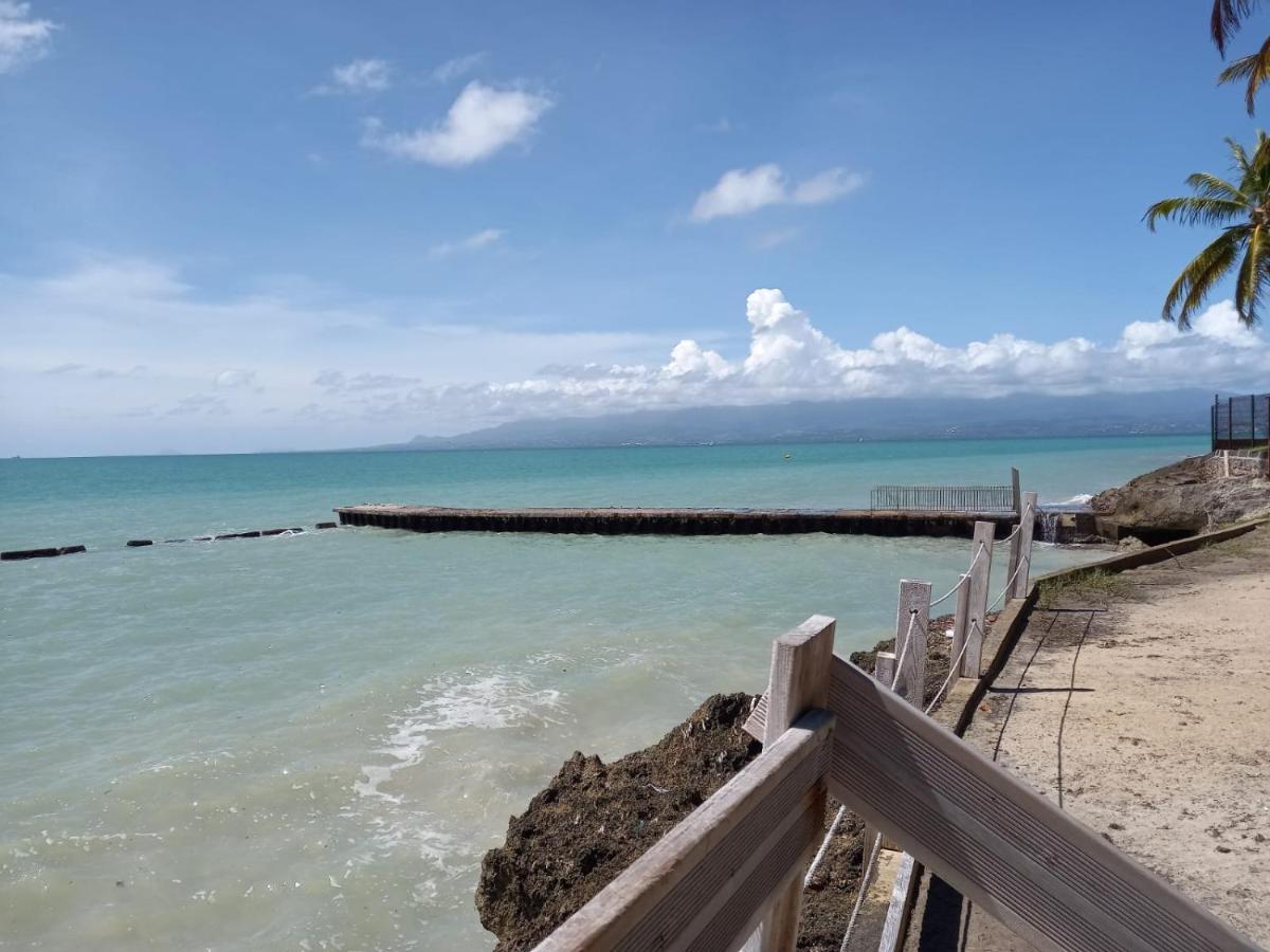 Grand Studio De 41 M², Vue Mer Et Jardin Tropical. Le Gosier  Eksteriør billede