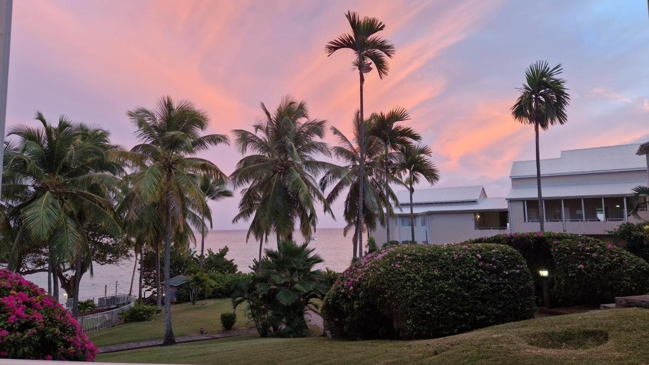 Grand Studio De 41 M², Vue Mer Et Jardin Tropical. Le Gosier  Eksteriør billede